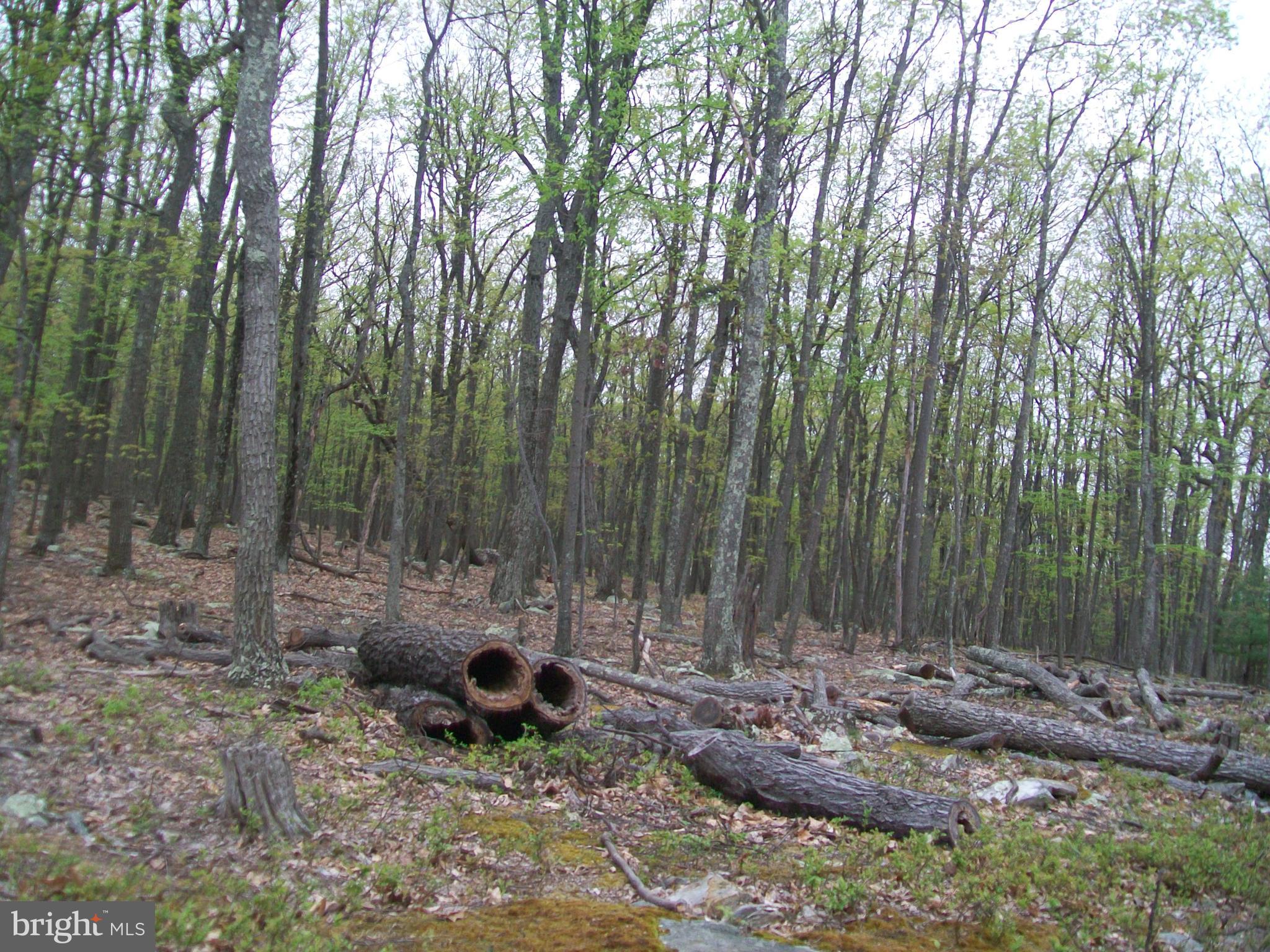 STAGECOACH STOP - Land