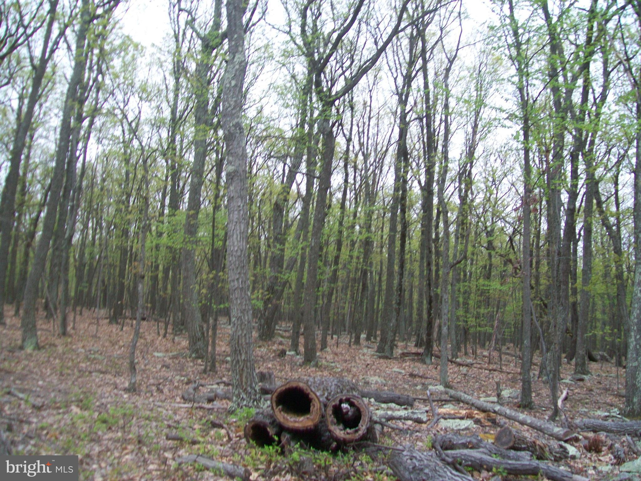 STAGECOACH STOP - Land