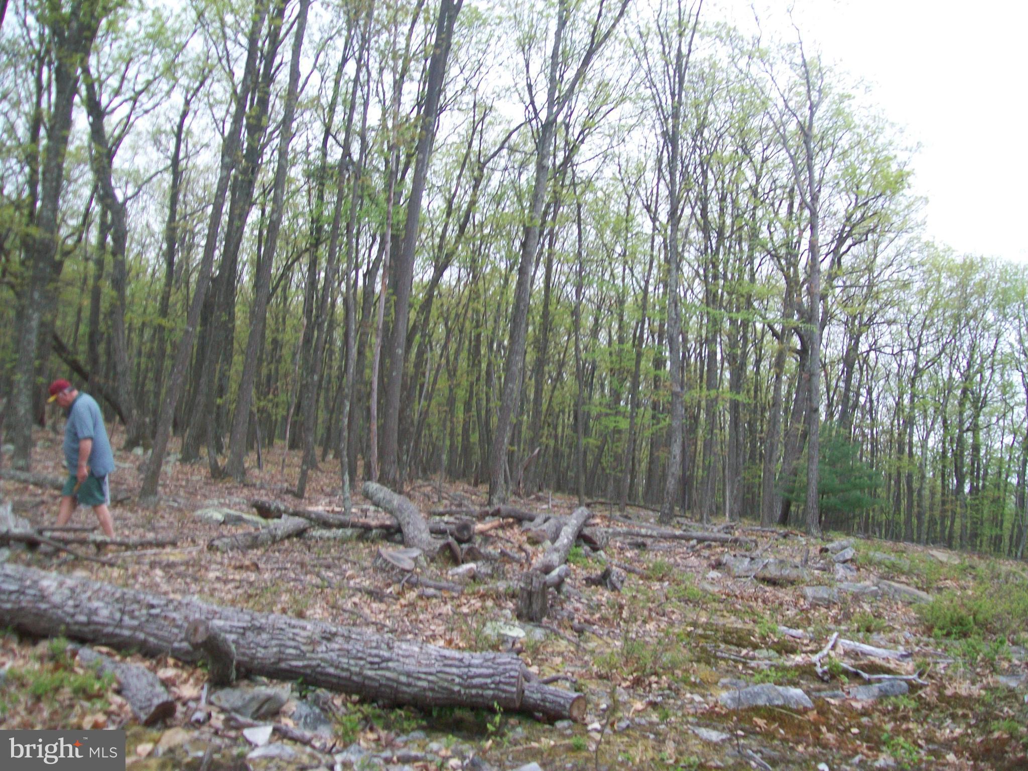 STAGECOACH STOP - Land