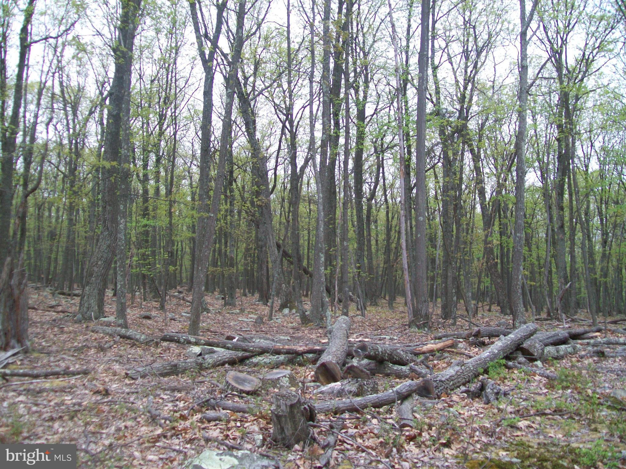 STAGECOACH STOP - Land