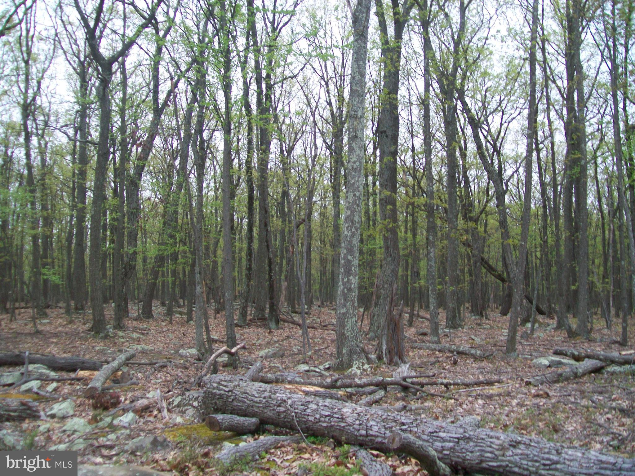 STAGECOACH STOP - Land