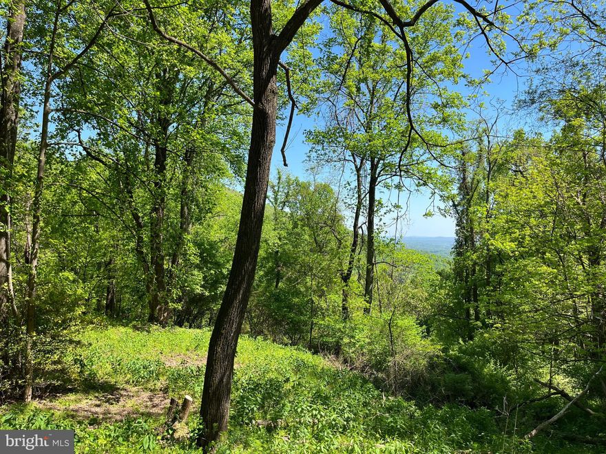 : The Lambsburg Tract would make for a wonderful place to put a cabin and enjoy mountain views looking out over Carroll County. This property is easily accessible from Lambsburg rd and has also had perc tests completed. This property is located no more than 3 minutes north of the town of Lambsburg. There will be additional acreage for sale across the road pending a timber harvest in the coming months as well. The owner will be restricting no single or double wide trailers on this property. This tract is for somebody who is looking for a weekend getaway, and a place to put a nice cabin with great views and plenty of outdoor activities to do within a very short drive.