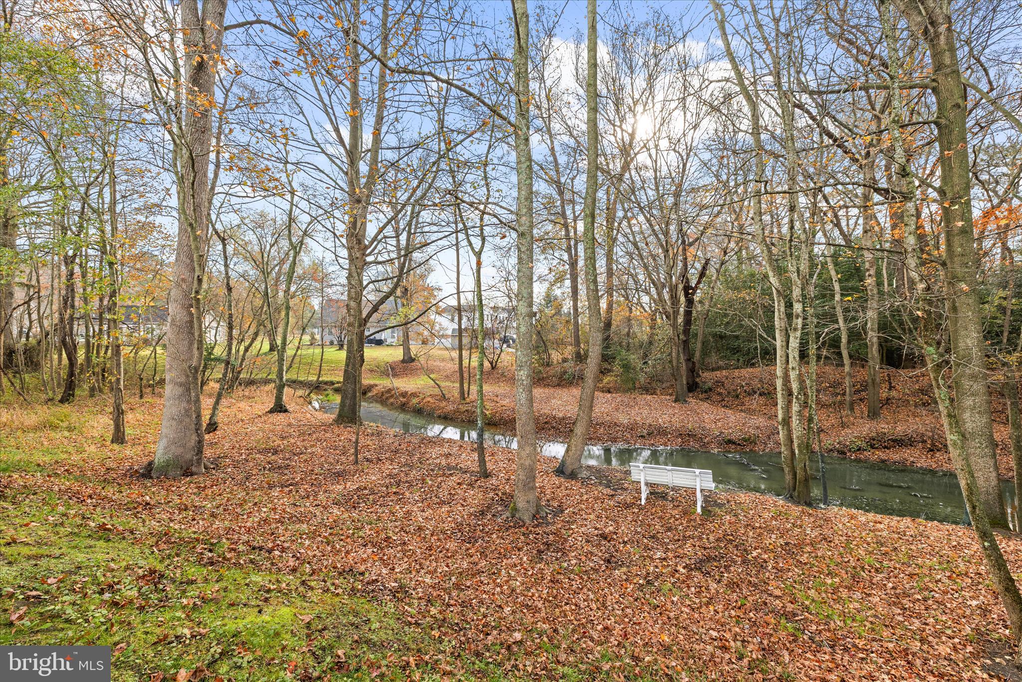 WOODLANDS OF PEPPER CREEK - Residential