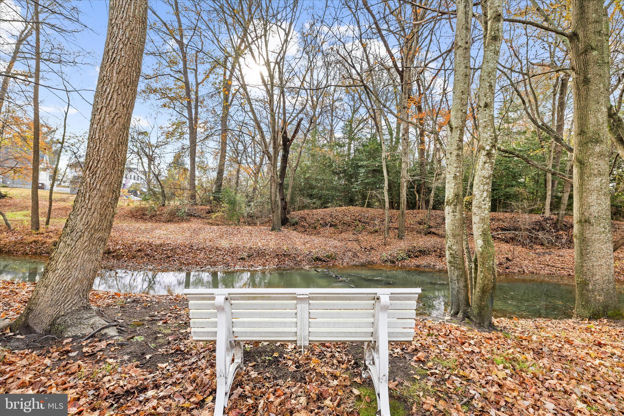 WOODLANDS OF PEPPER CREEK - Residential