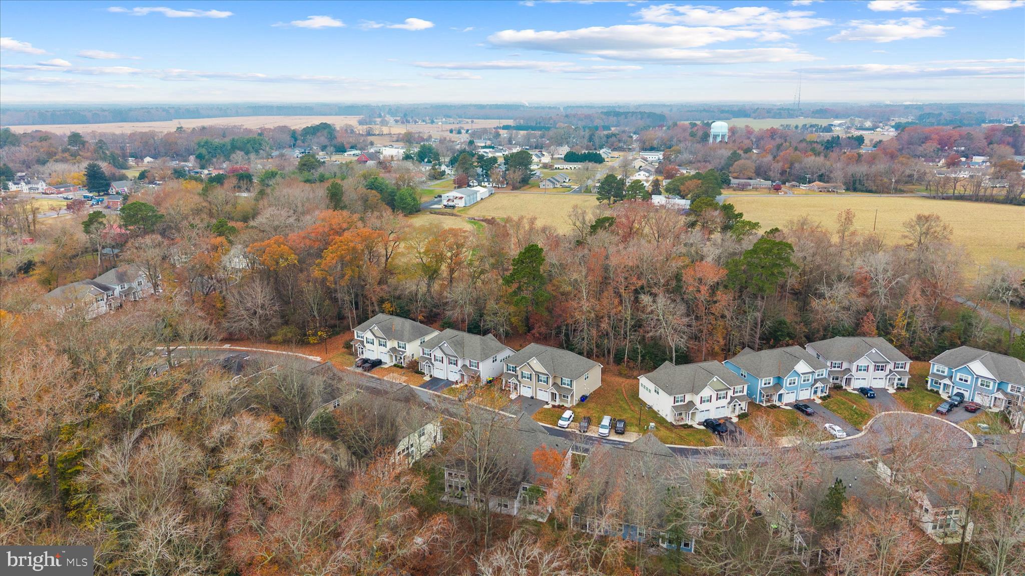 WOODLANDS OF PEPPER CREEK - Residential
