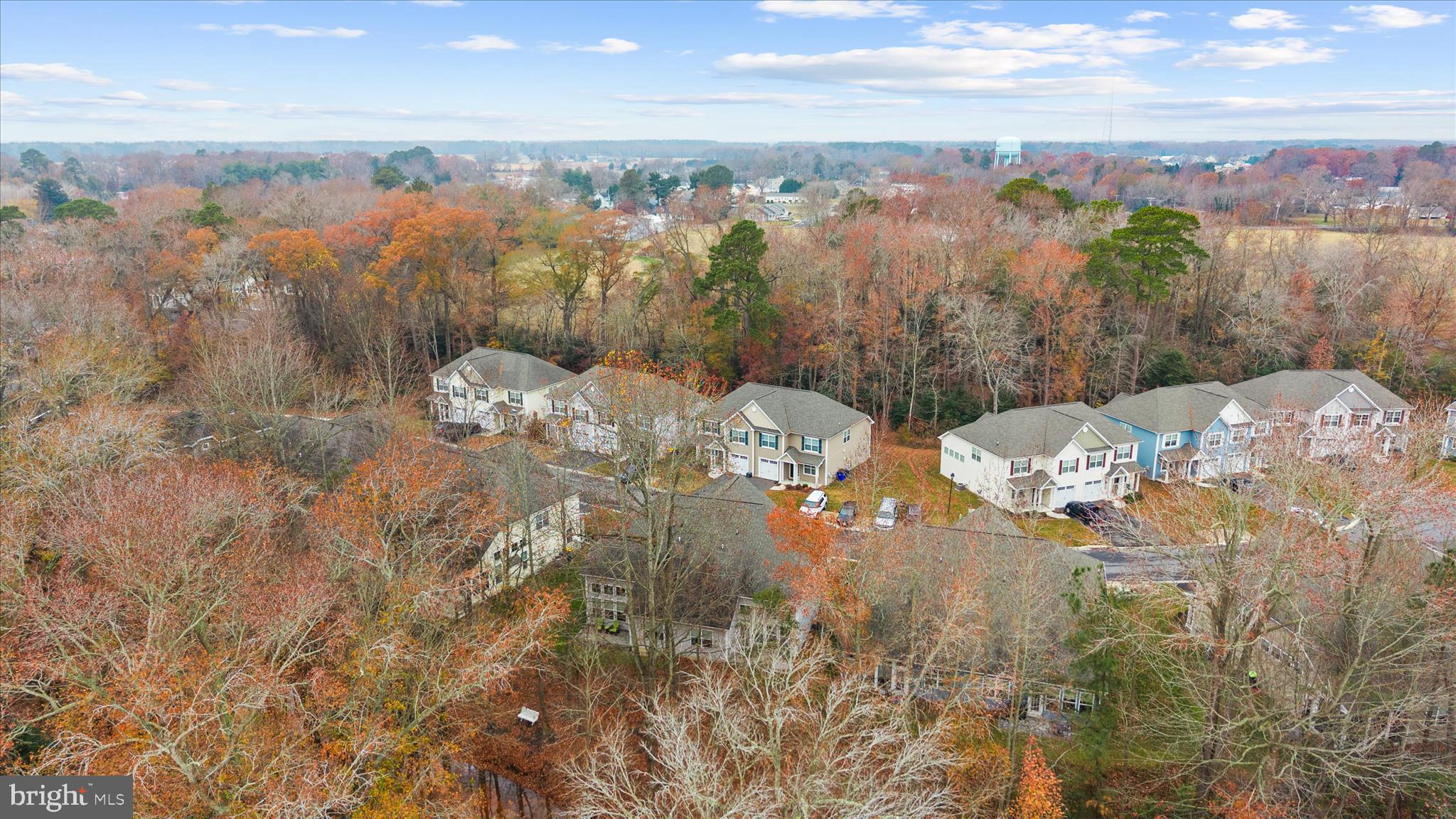 WOODLANDS OF PEPPER CREEK - Residential