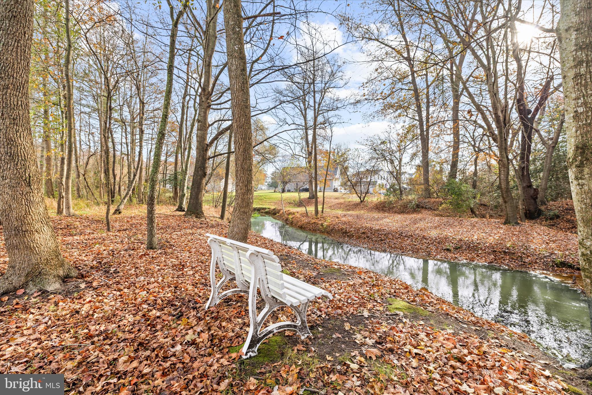 WOODLANDS OF PEPPER CREEK - Residential