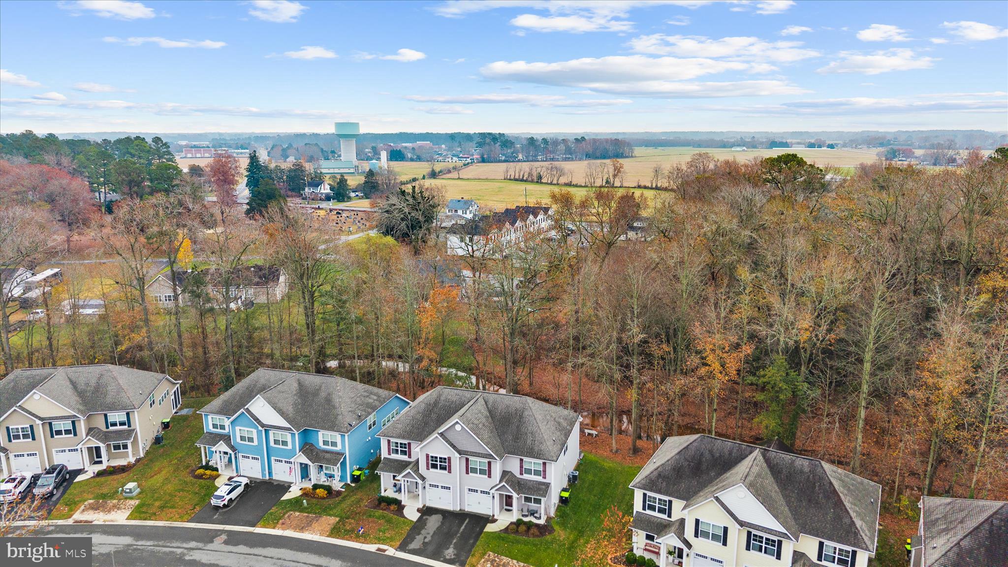 29208 SHADY CREEK LANE