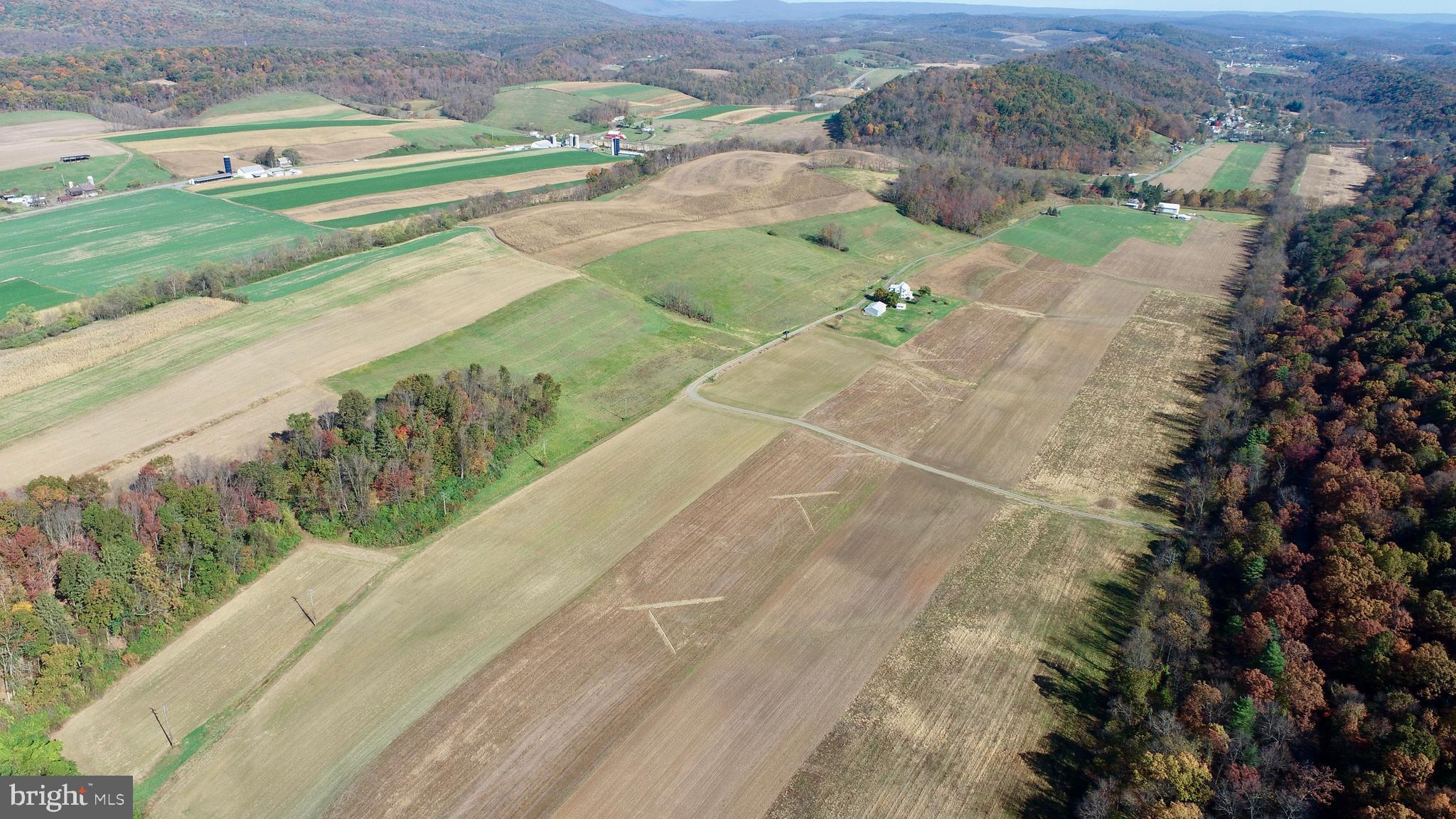 NONE AVAILABLE - Farm