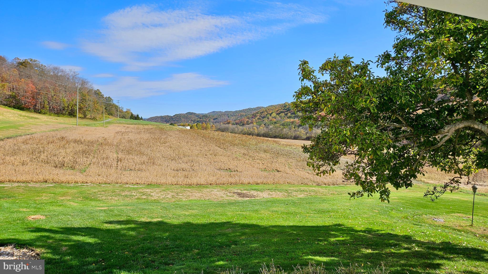 NONE AVAILABLE - Farm