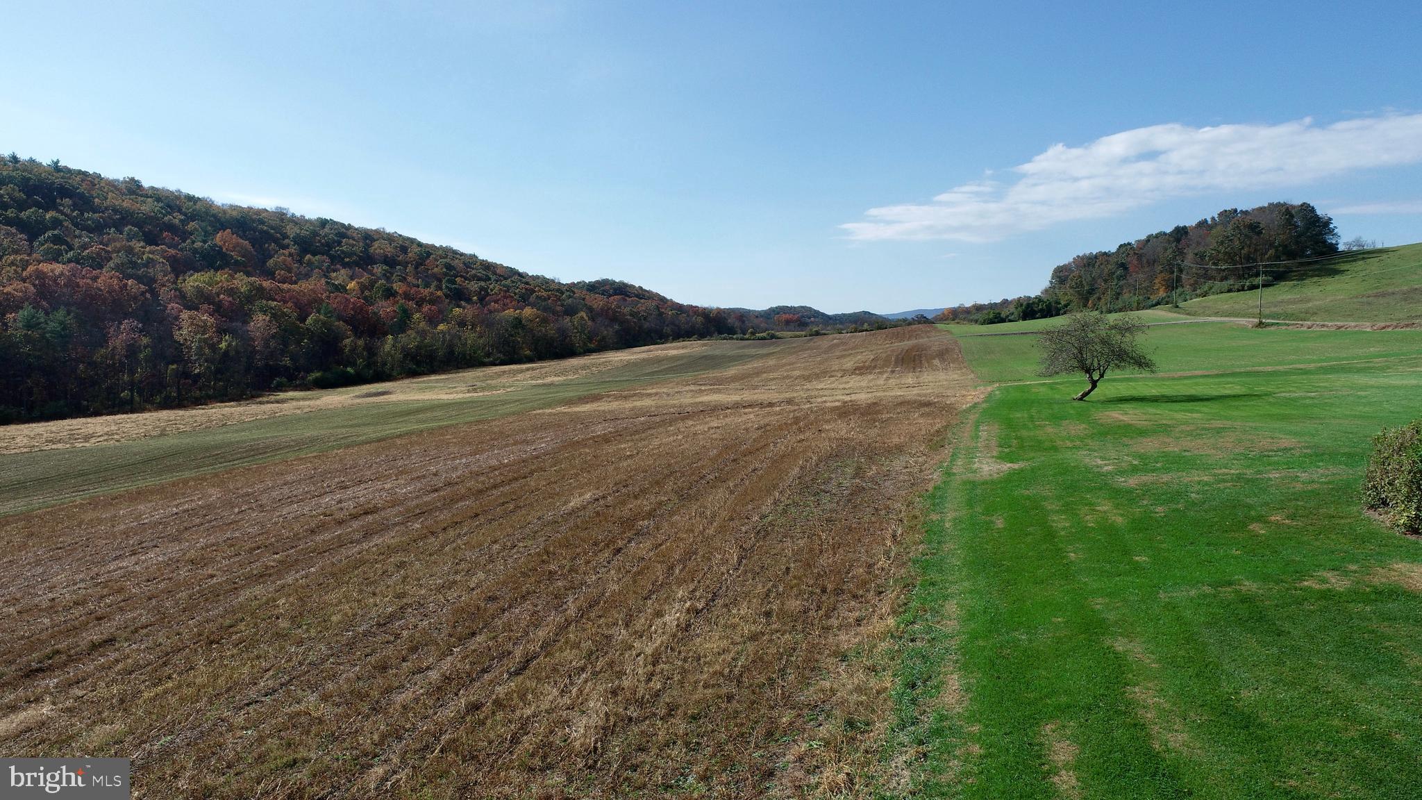 NONE AVAILABLE - Farm