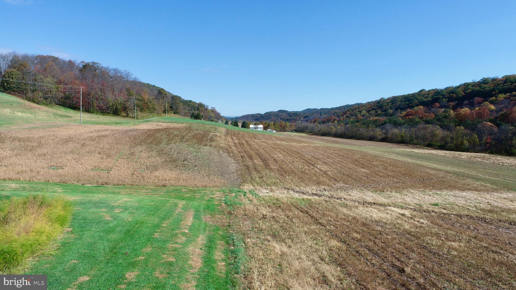 NONE AVAILABLE - Farm