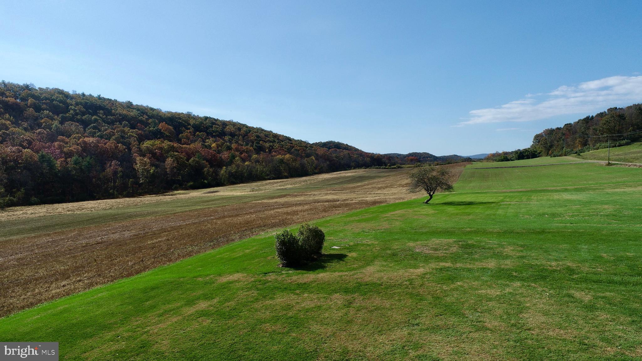 NONE AVAILABLE - Farm