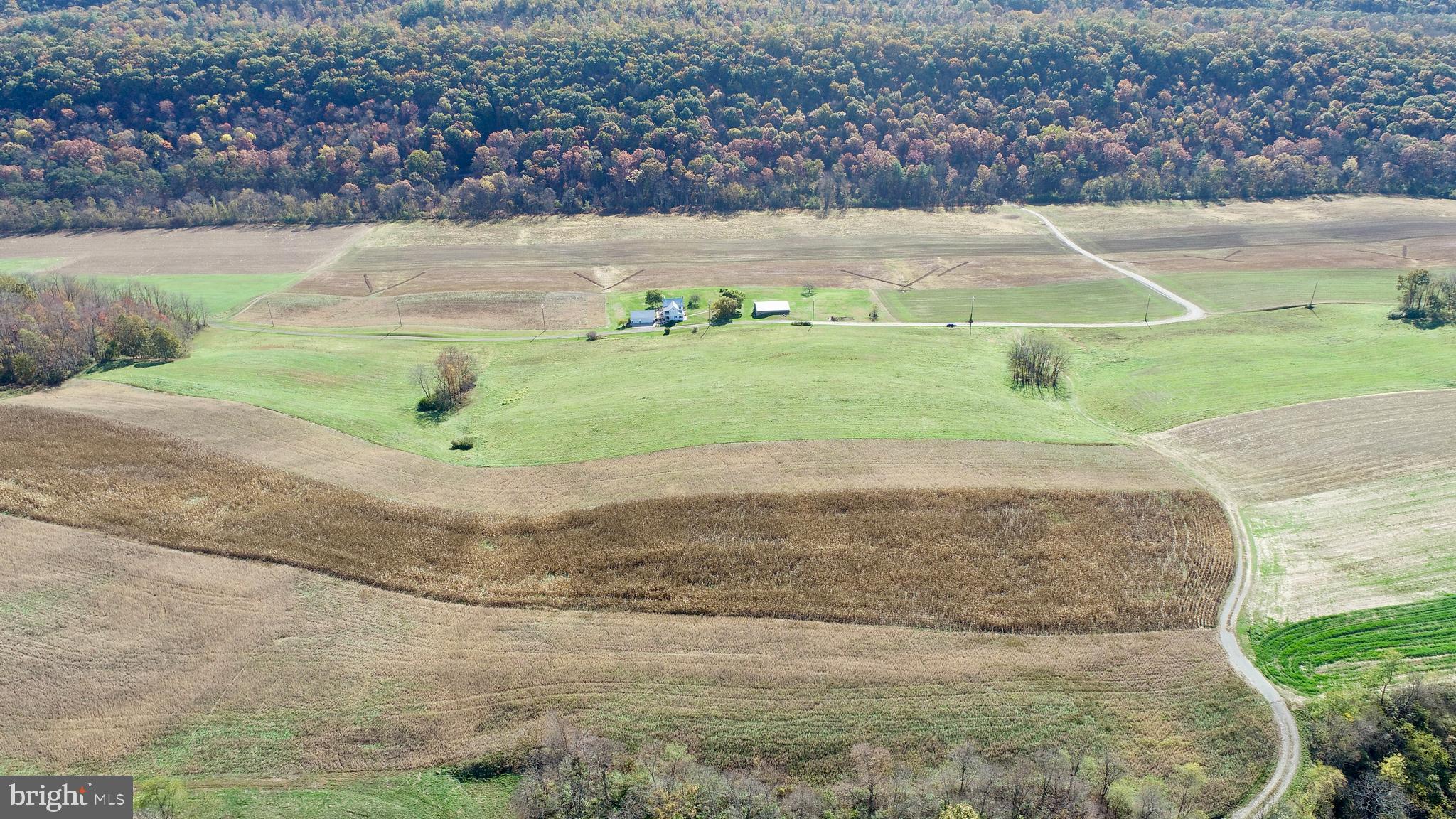 NONE AVAILABLE - Farm