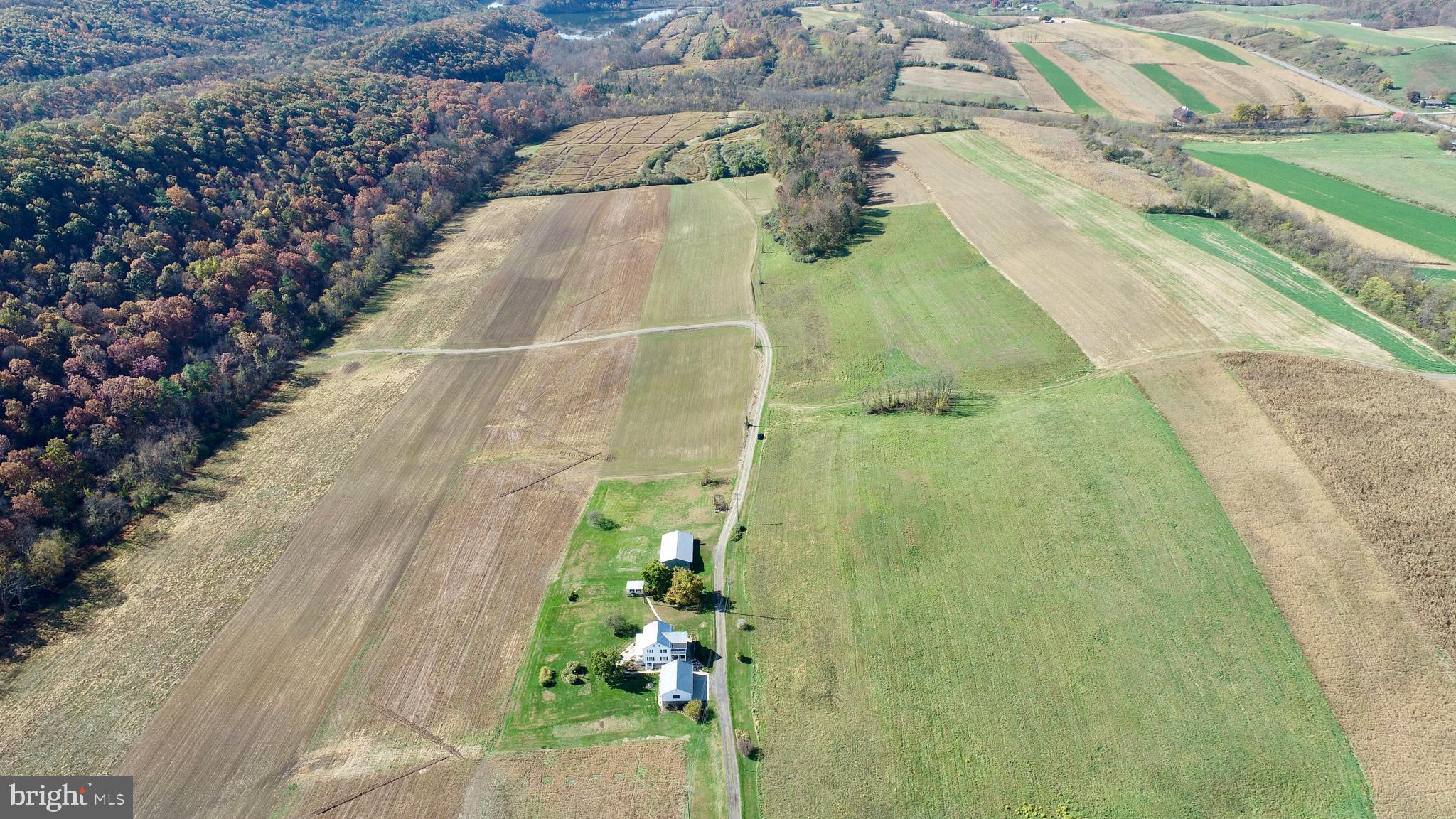 NONE AVAILABLE - Farm