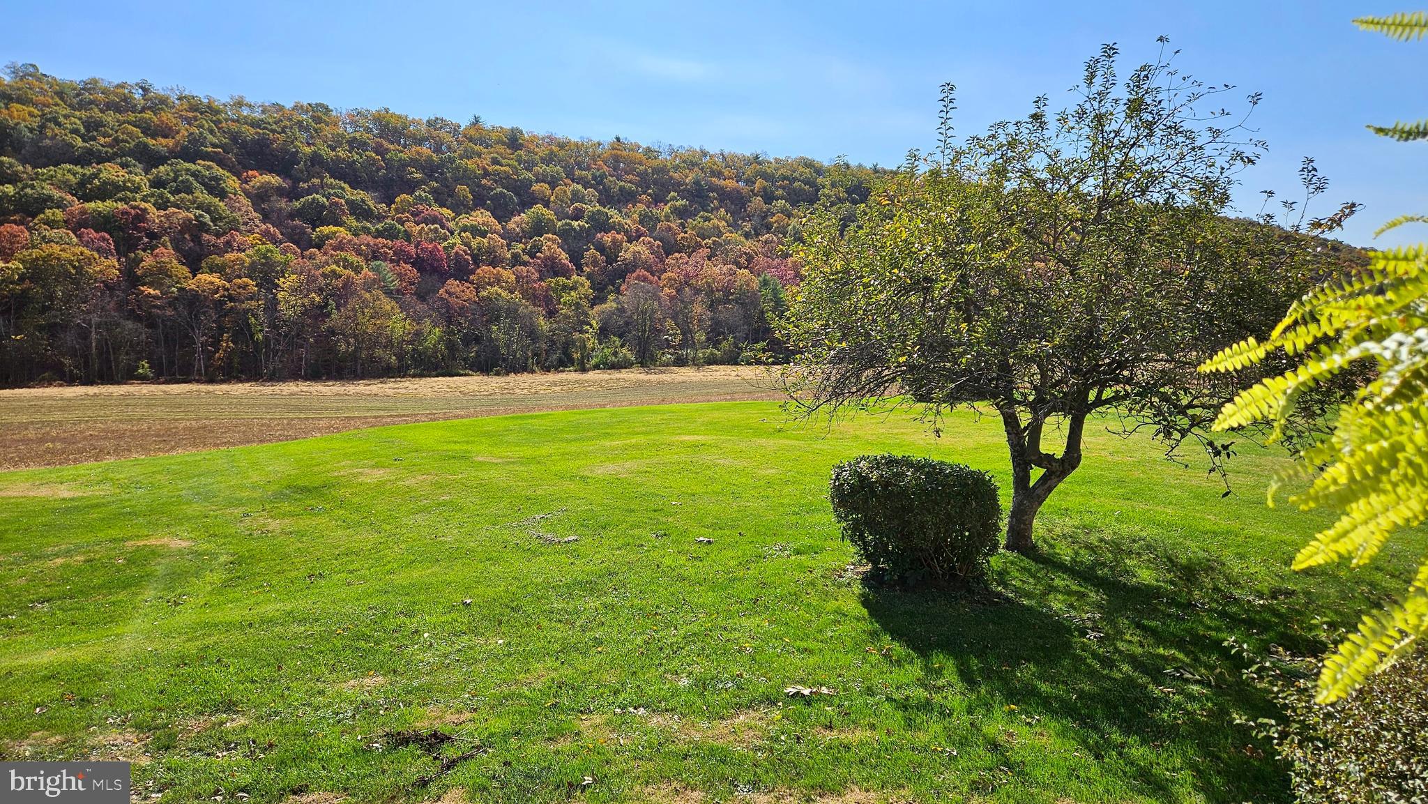 NONE AVAILABLE - Farm