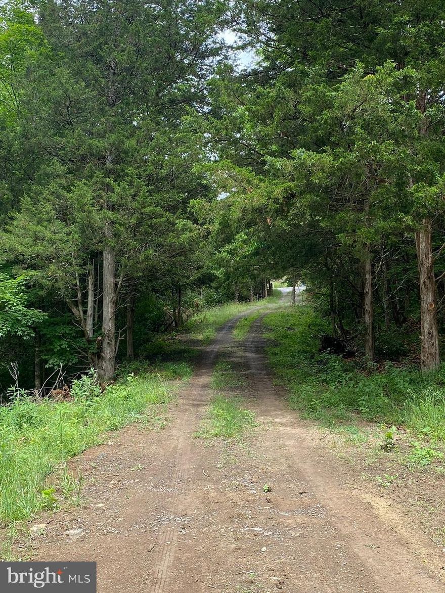 Great location for building your dream home!  Close to the town of Franklin with easy access off of RT 220N.  Secluded. No restrictions.