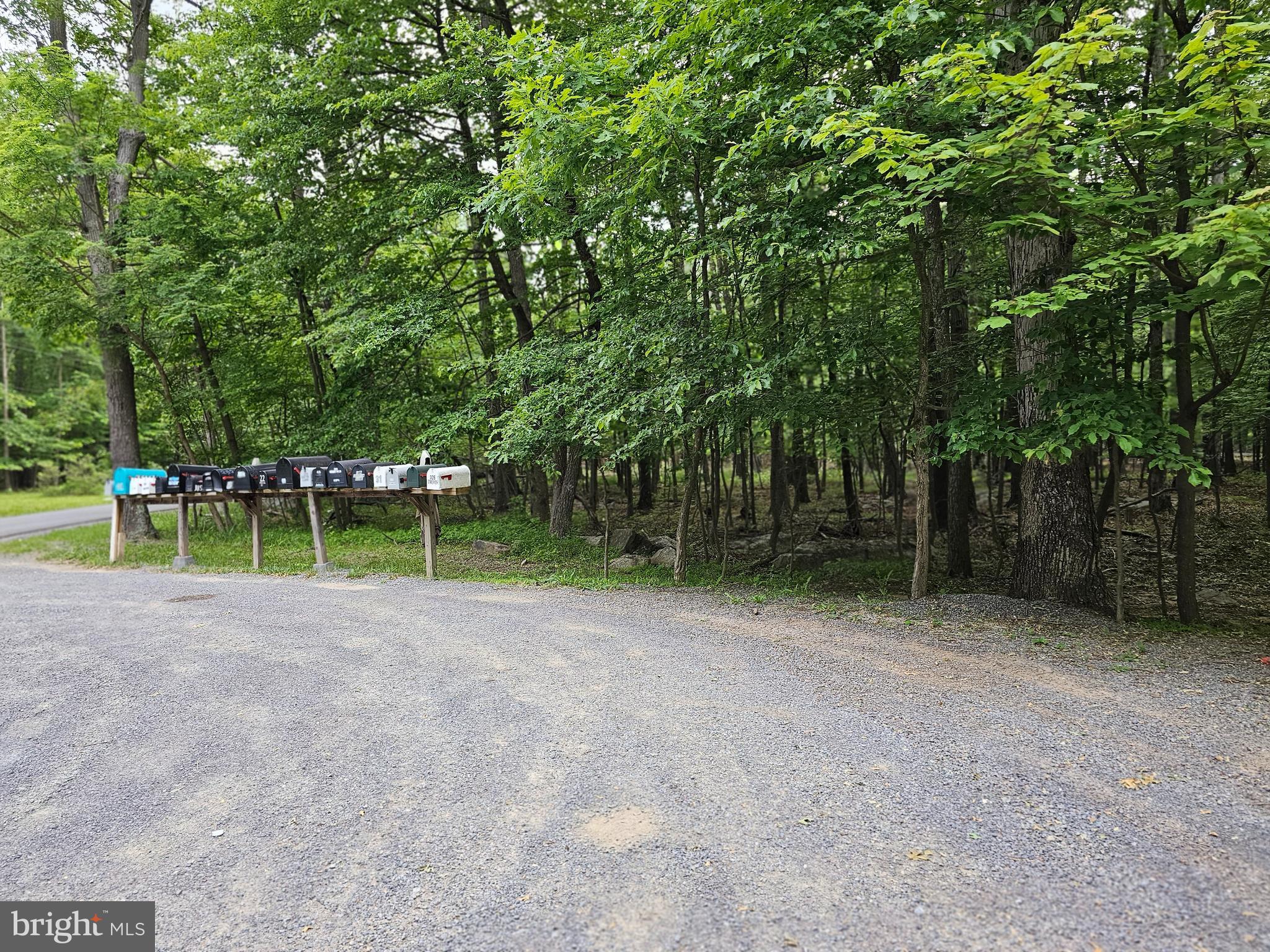 CACAPON HIGHLANDS - Land