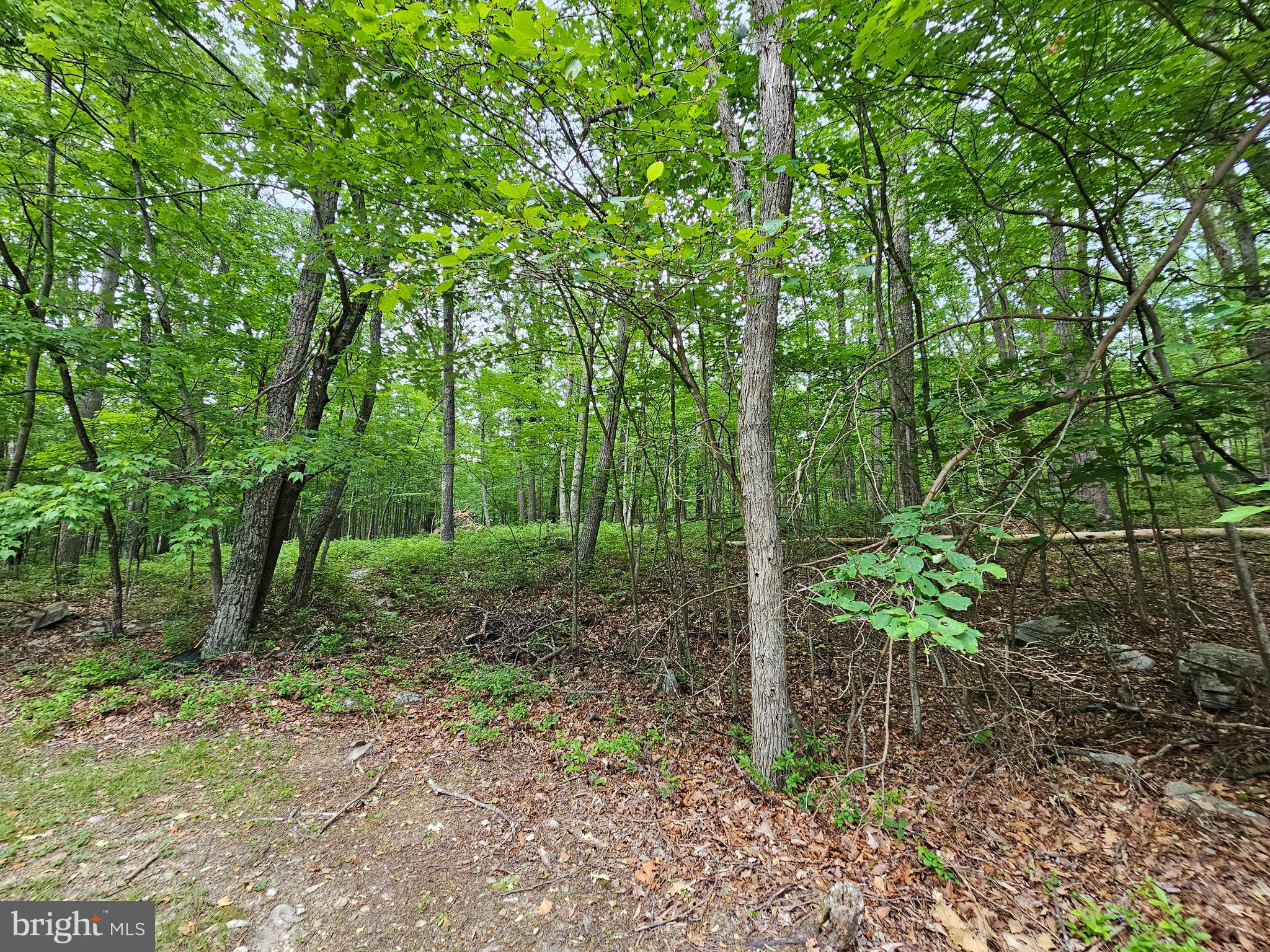 CACAPON HIGHLANDS - Land