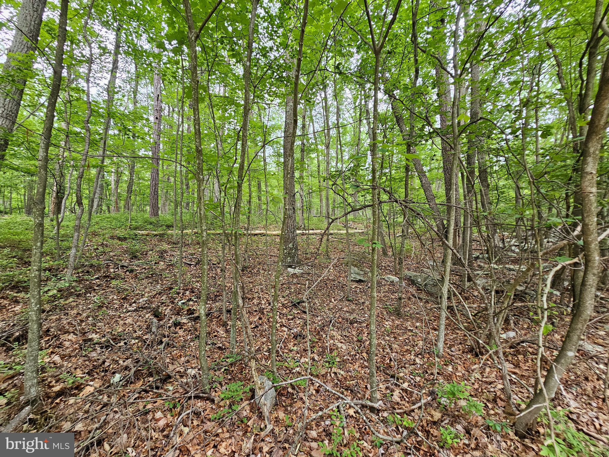 CACAPON HIGHLANDS - Land