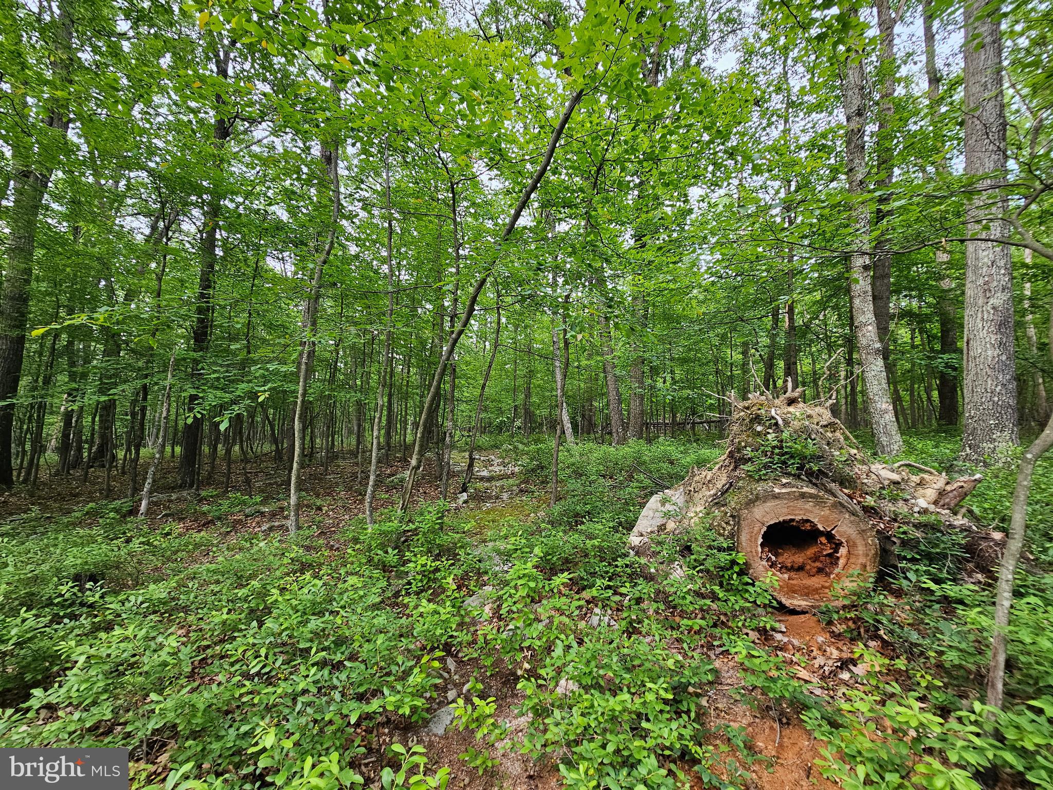 CACAPON HIGHLANDS - Land