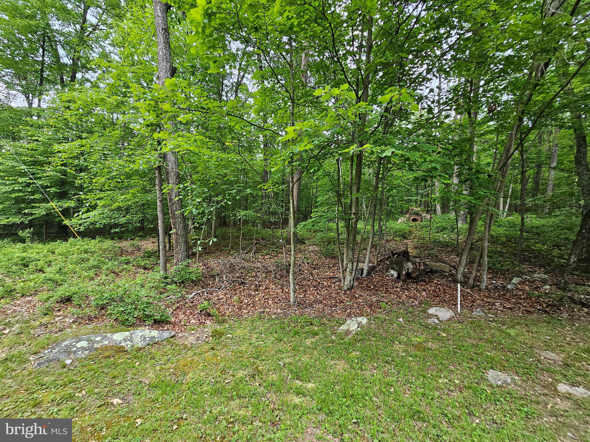 CACAPON HIGHLANDS - Land