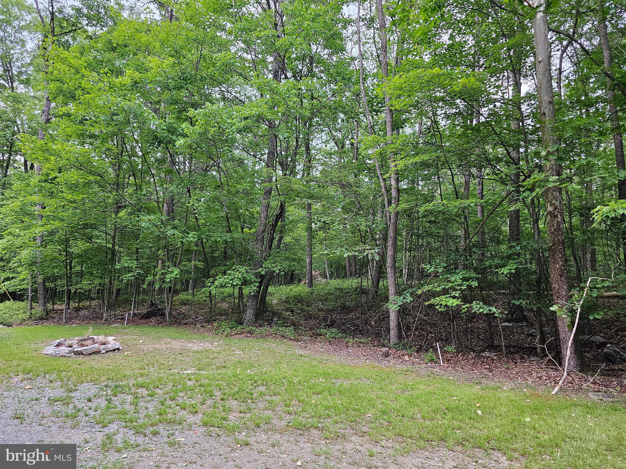 CACAPON HIGHLANDS - Land