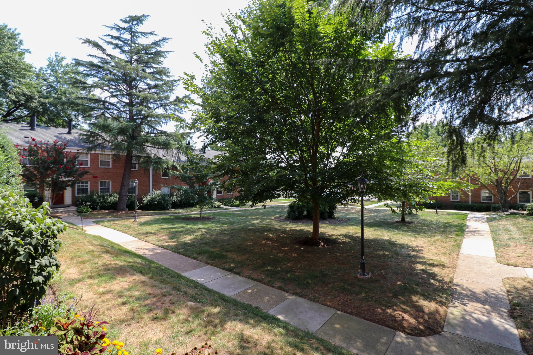 CAMBRIDGE COURTS - Residential Lease