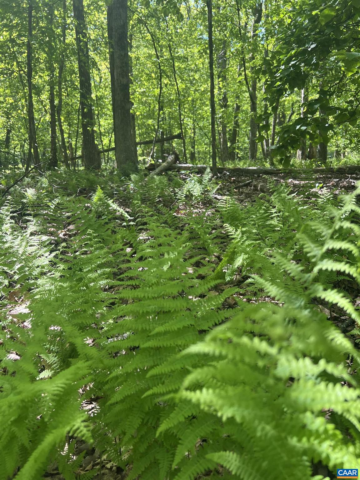 WINTERGREEN RESORT - Land