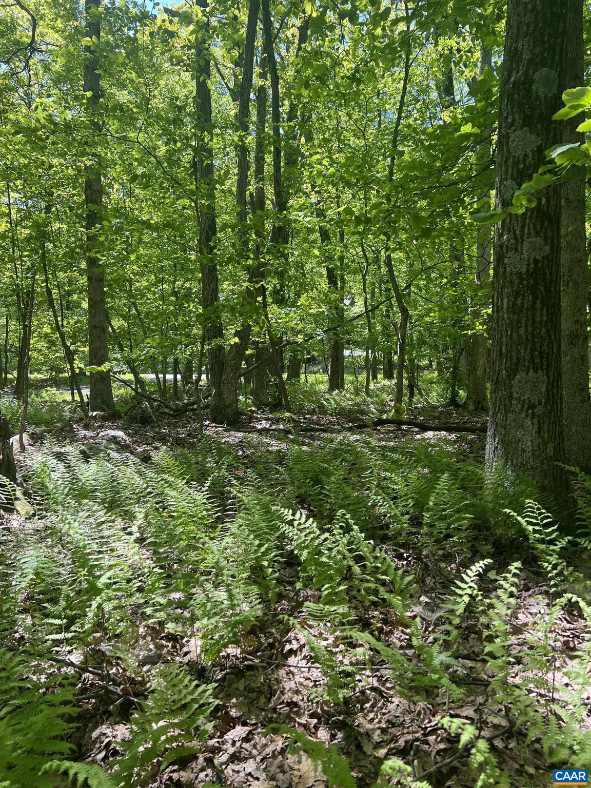 WINTERGREEN RESORT - Land