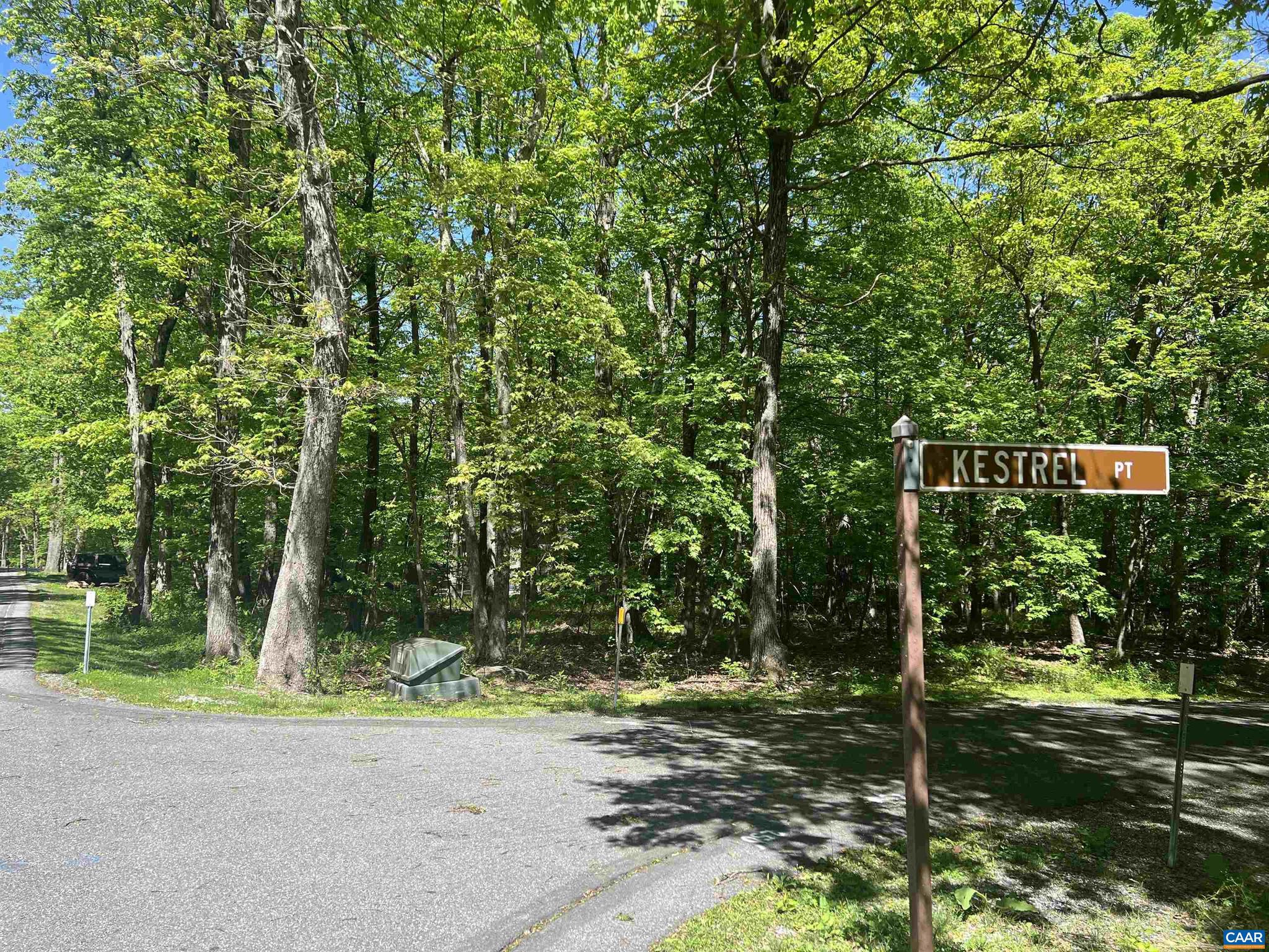 WINTERGREEN RESORT - Land