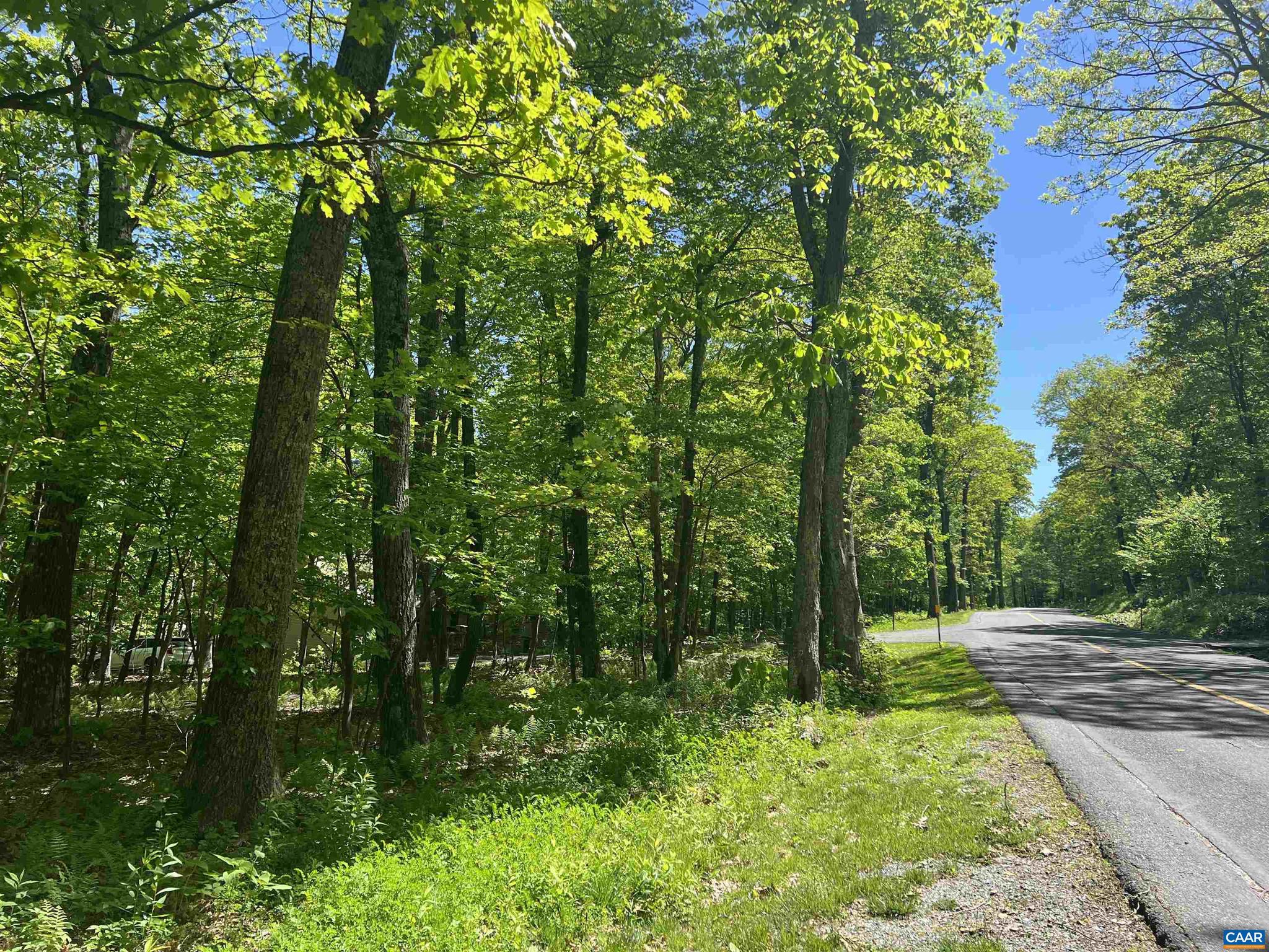 WINTERGREEN RESORT - Land