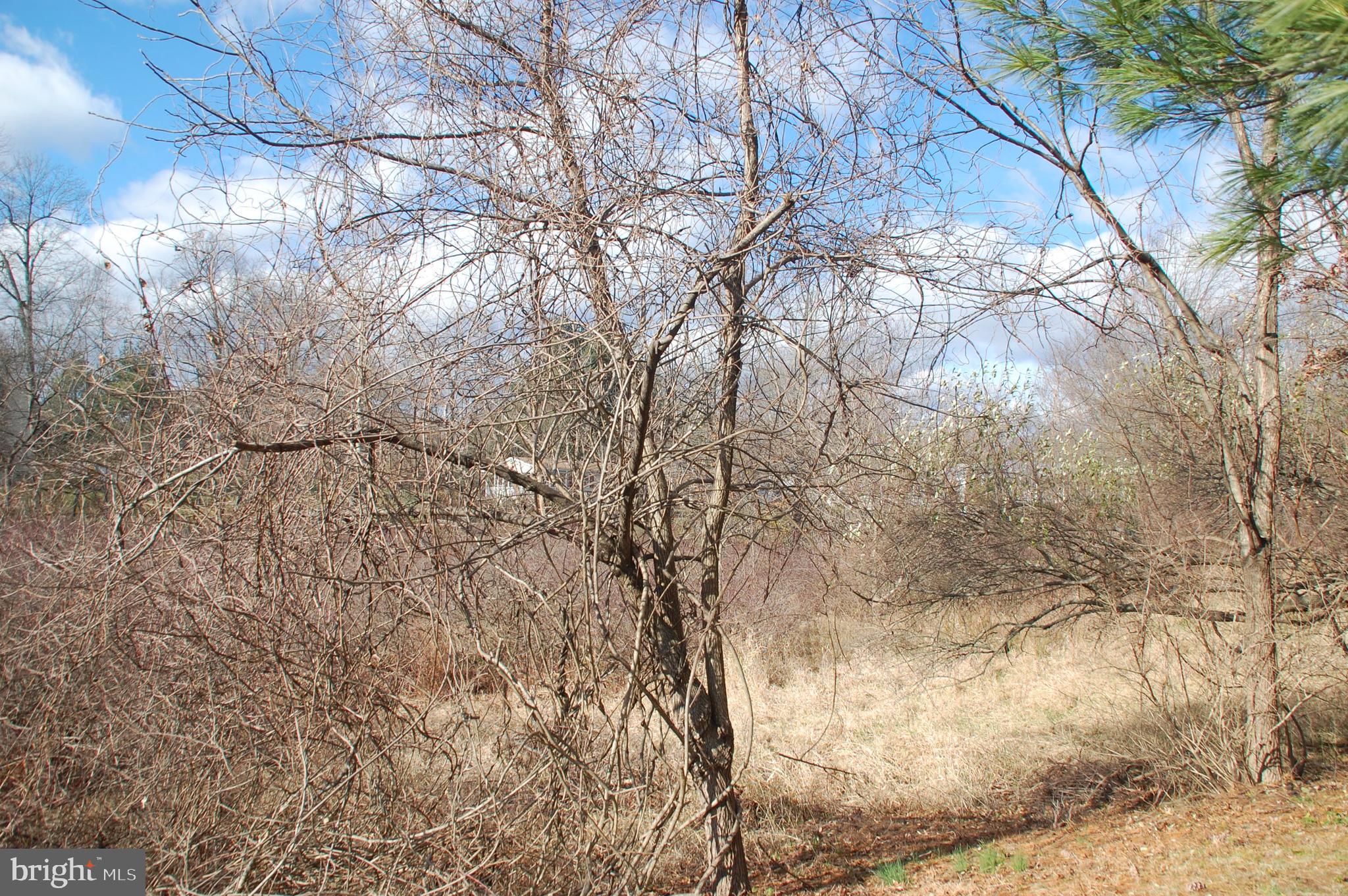 HIDDEN SPRINGS - Residential