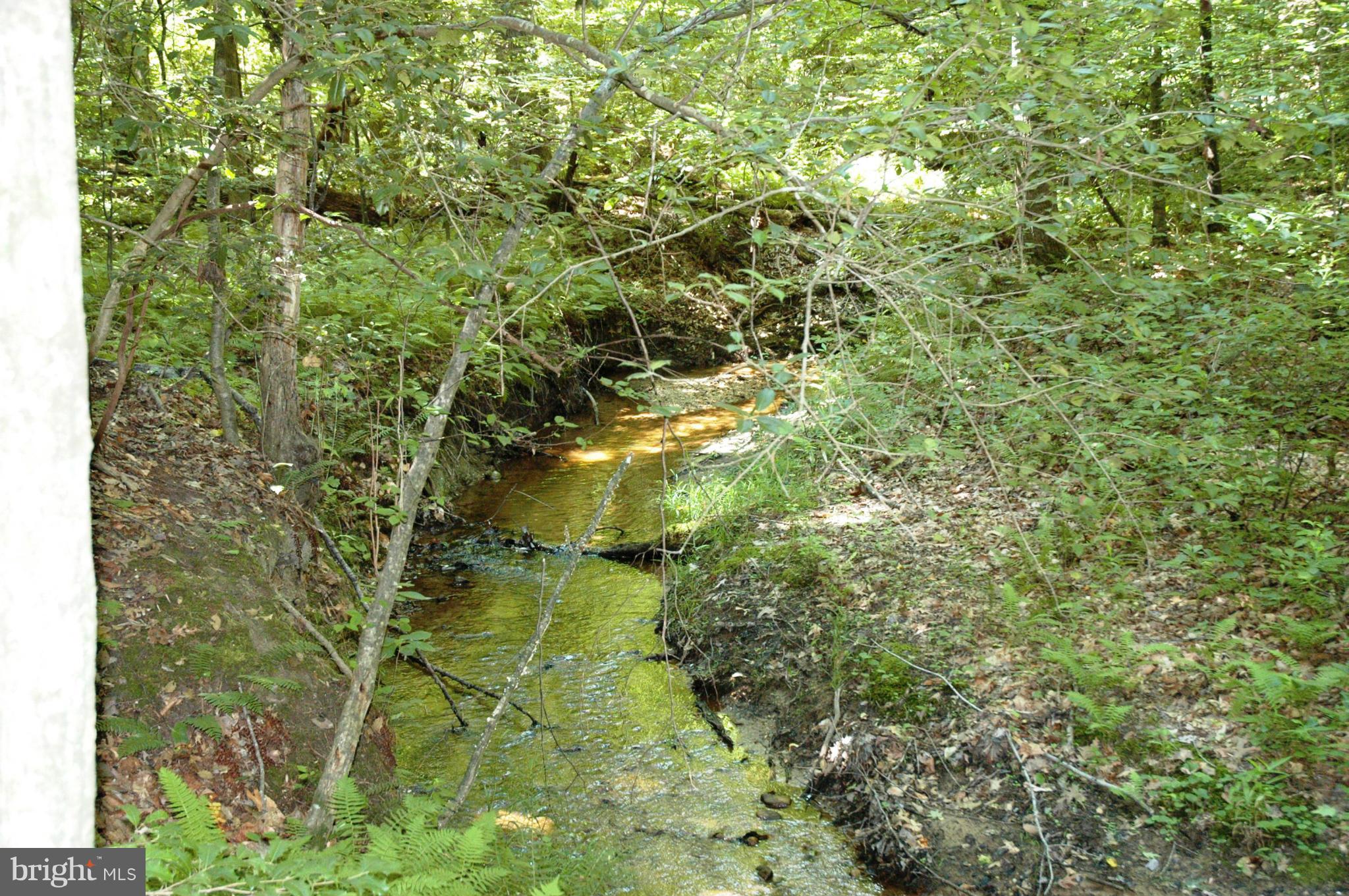 KINGS HIGHWAY - Residential