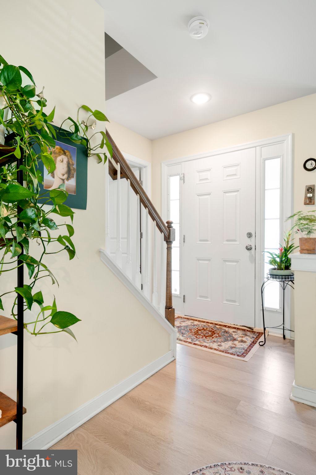 MCCAULEY PARK - Residential