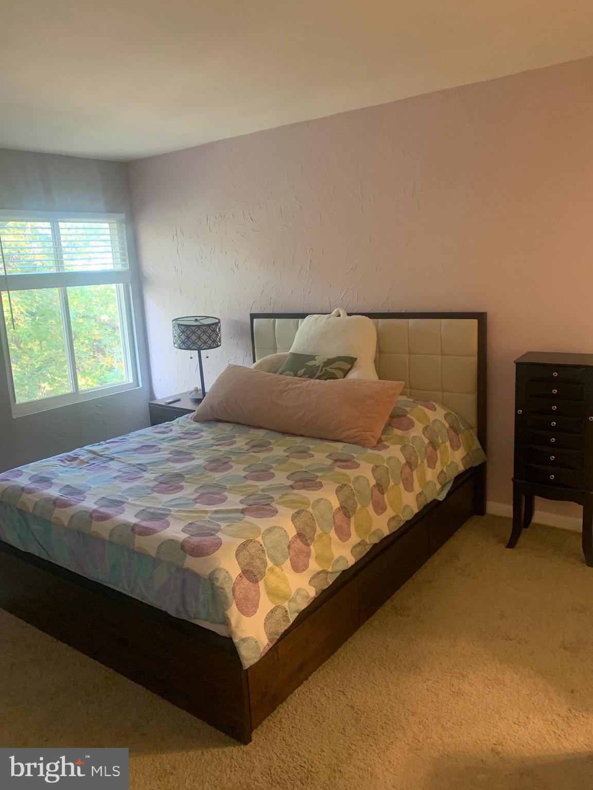 BURKE CENTRE STATION COMMONS - Residential