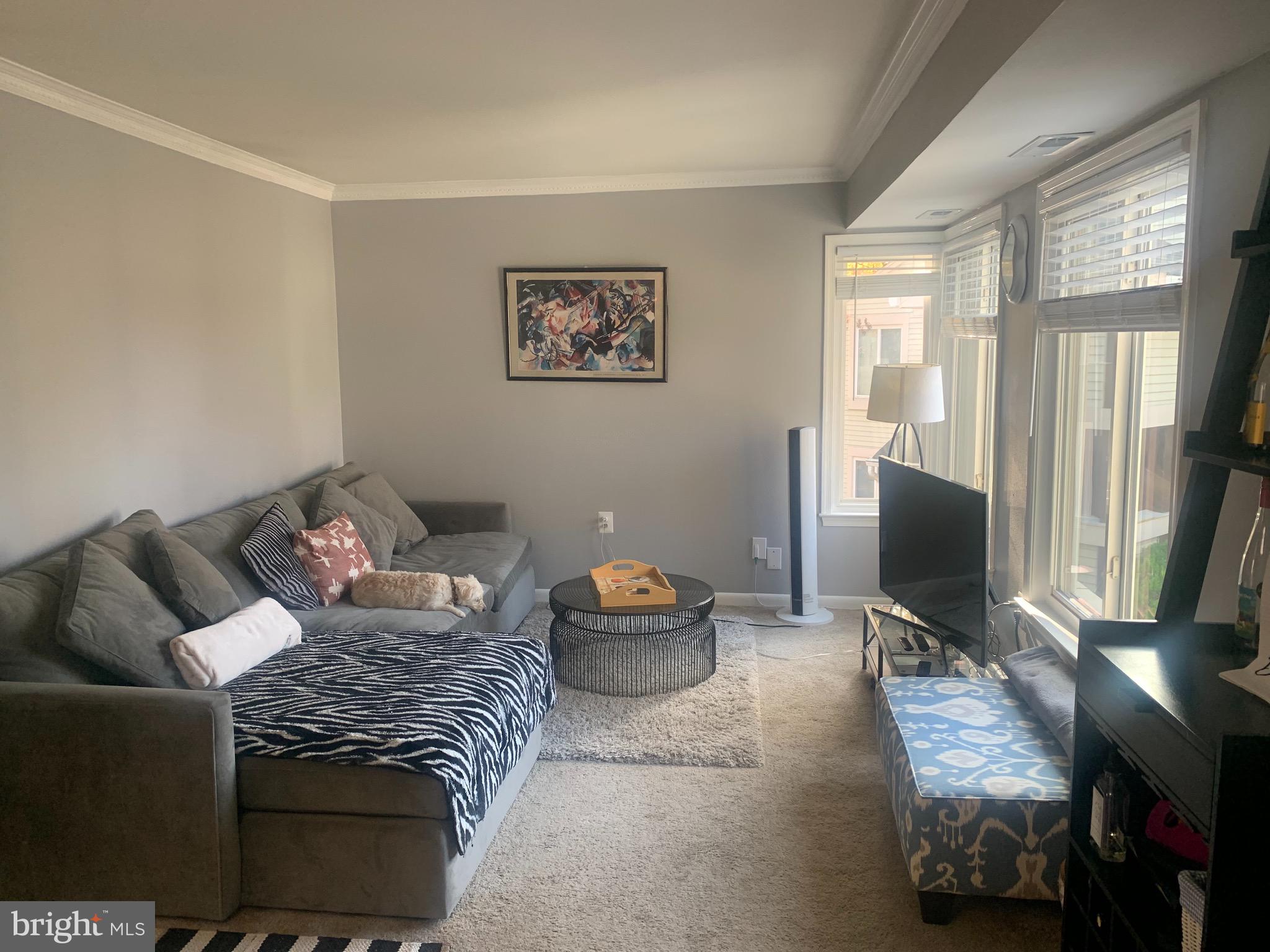 BURKE CENTRE STATION COMMONS - Residential