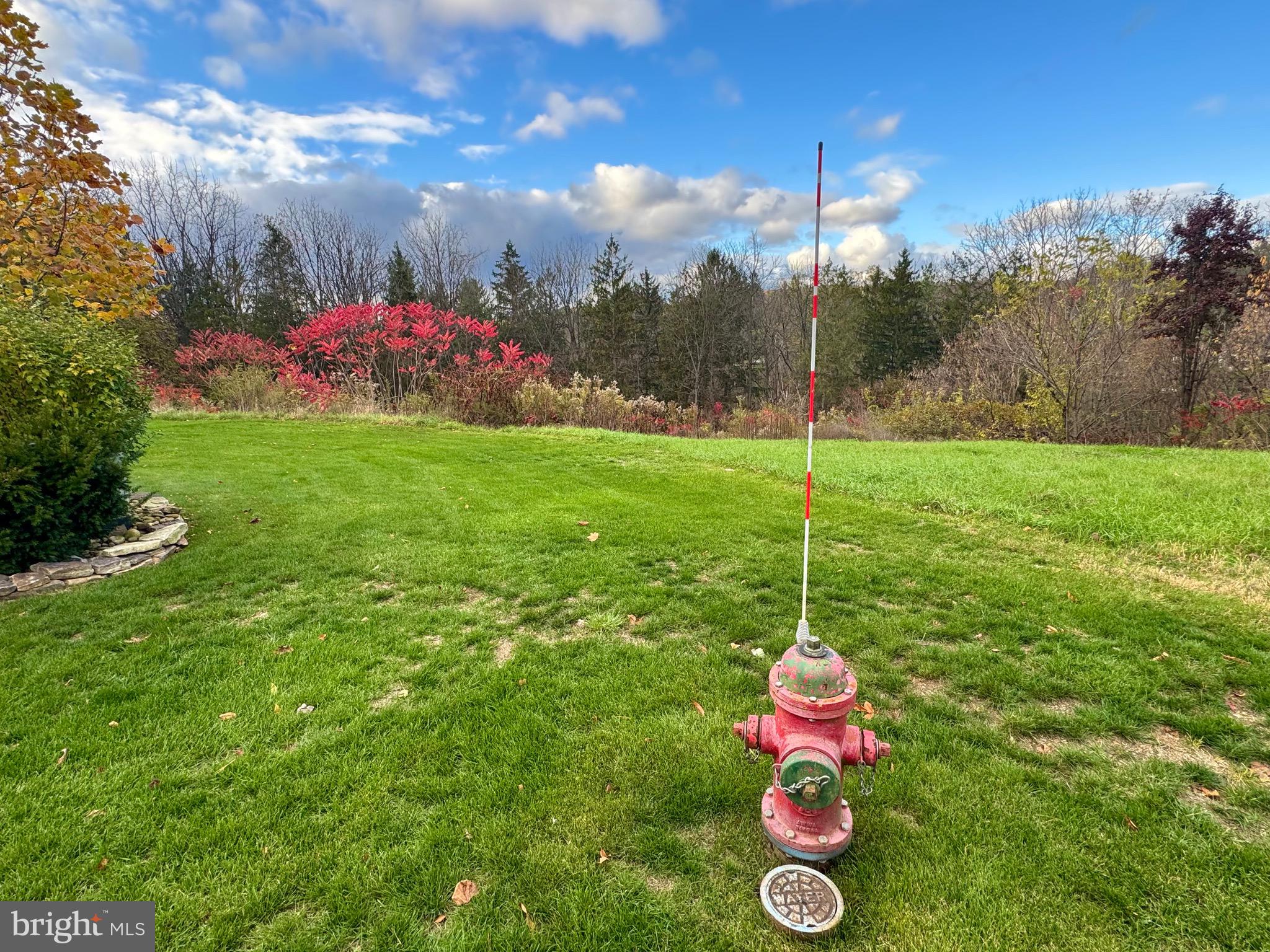 FOREST HEIGHTS - Land