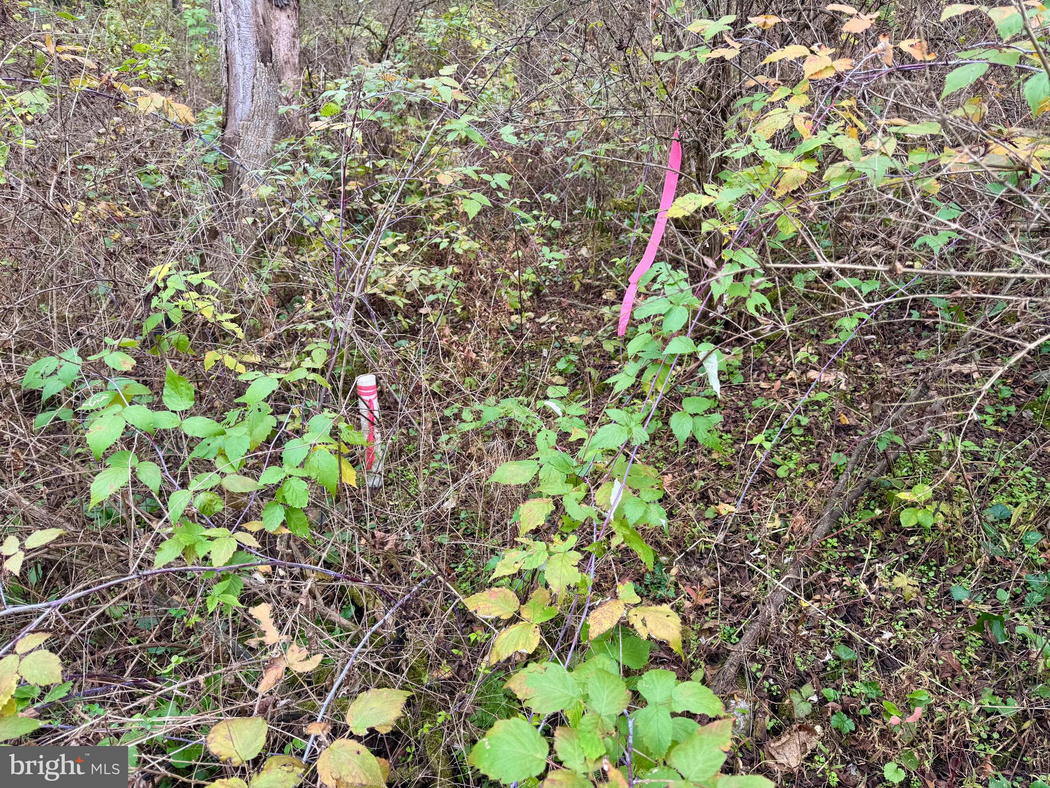 FOREST HEIGHTS - Land