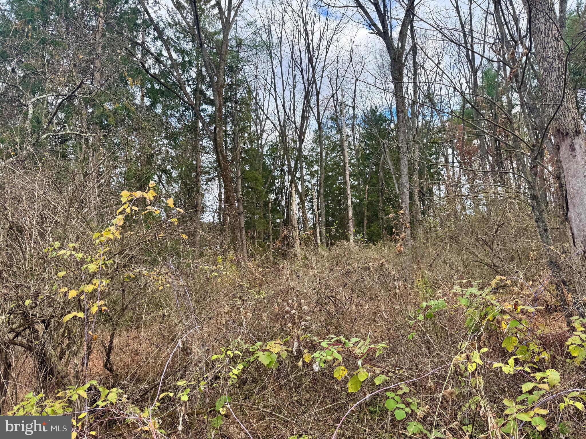 FOREST HEIGHTS - Land