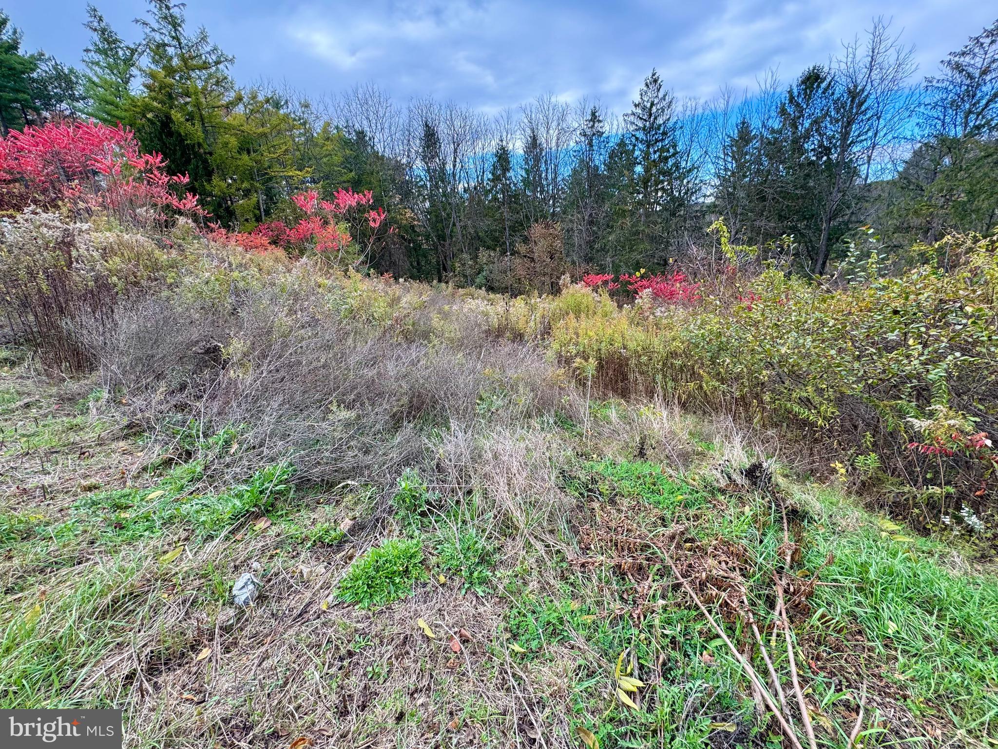 FOREST HEIGHTS - Land