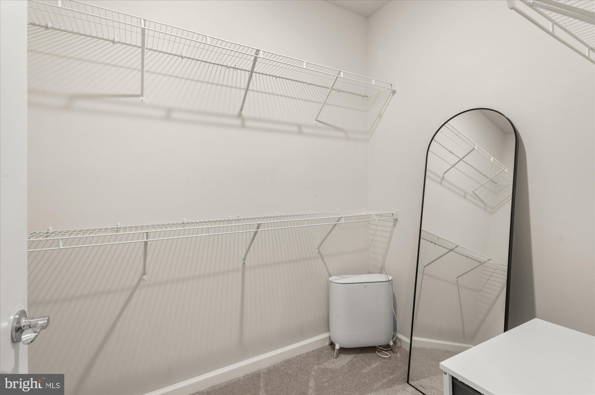 CARTER'S MILL - Residential