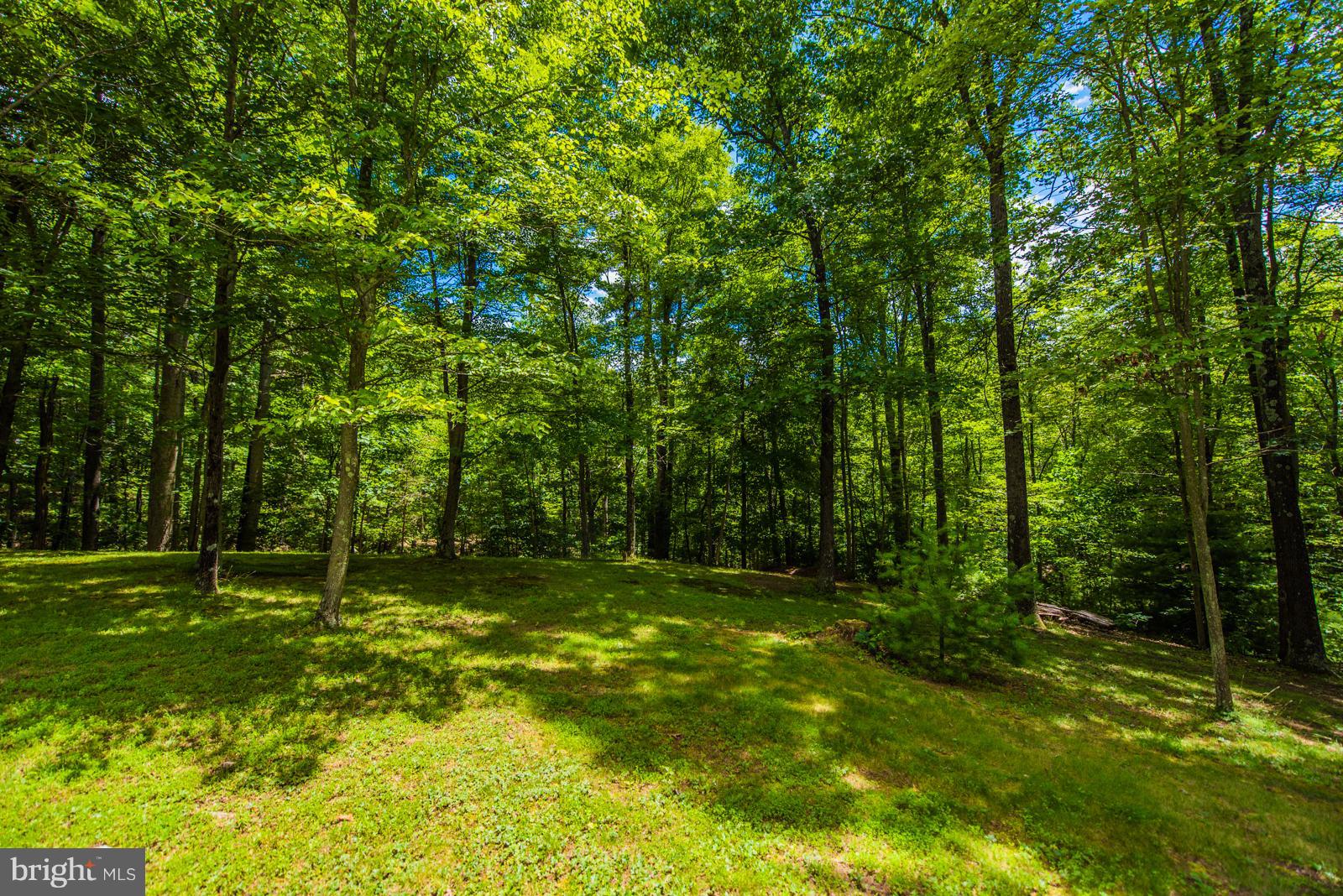 TALL PINES - Residential