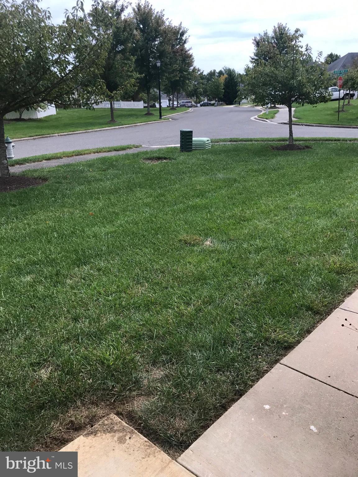 CAMERON GROVE CONDO VIII - Residential