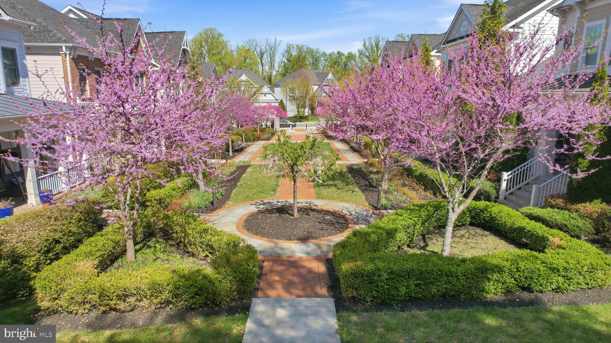 BETHESDA MEWS - Residential