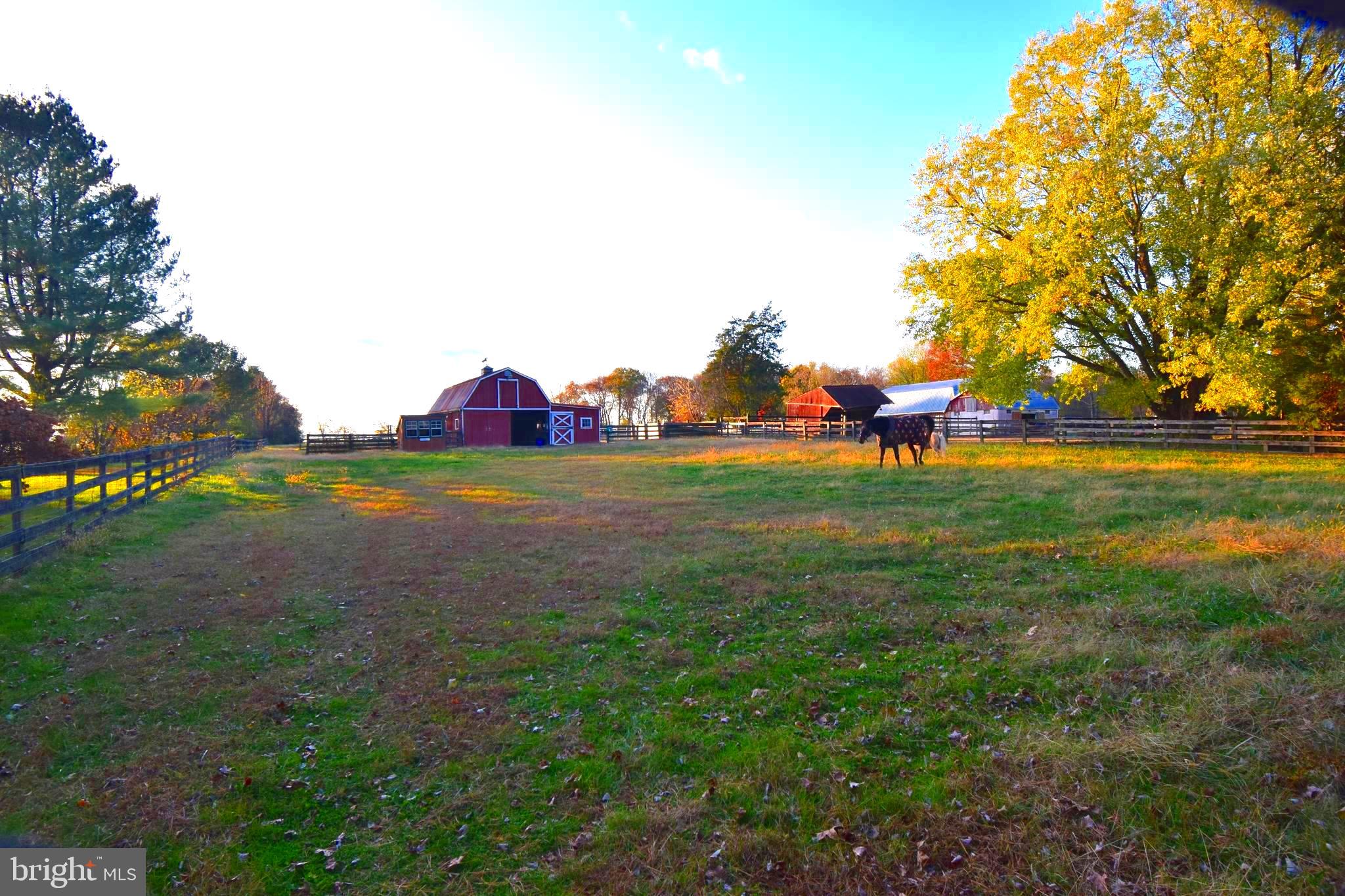 RISING SUN - Residential