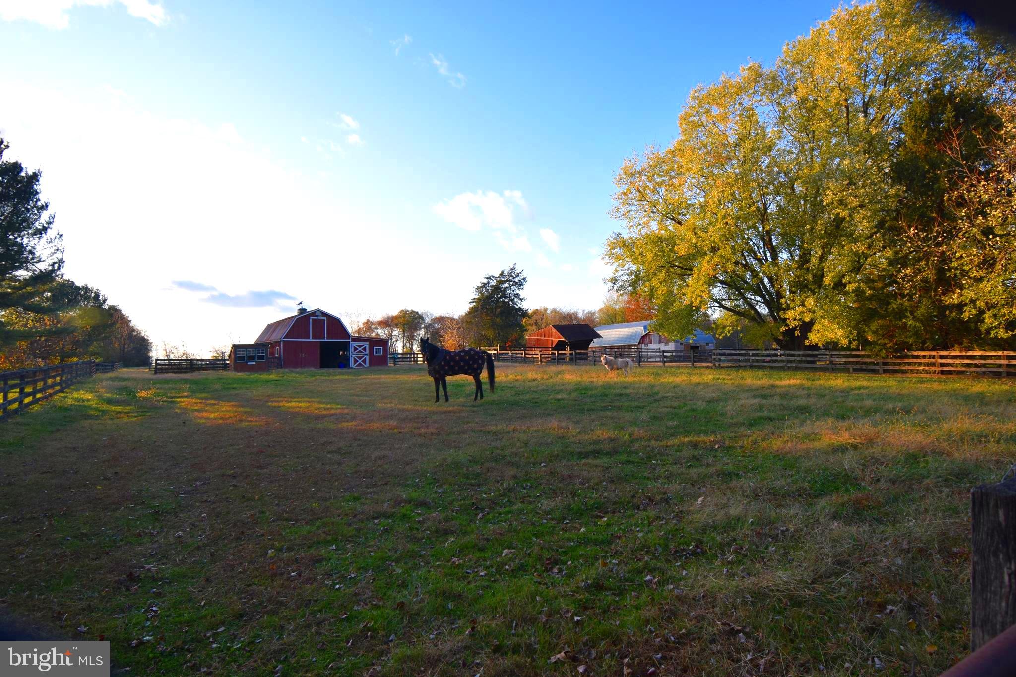 RISING SUN - Residential