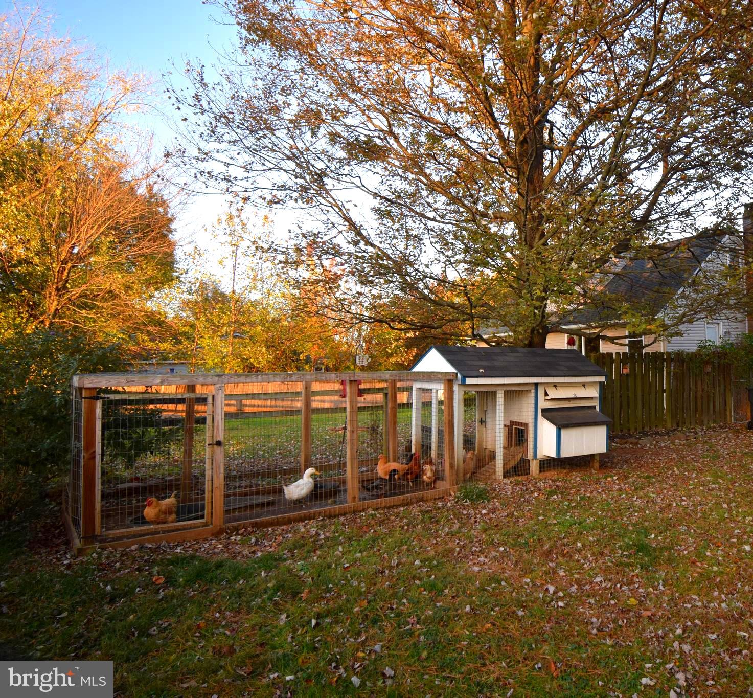 RISING SUN - Residential