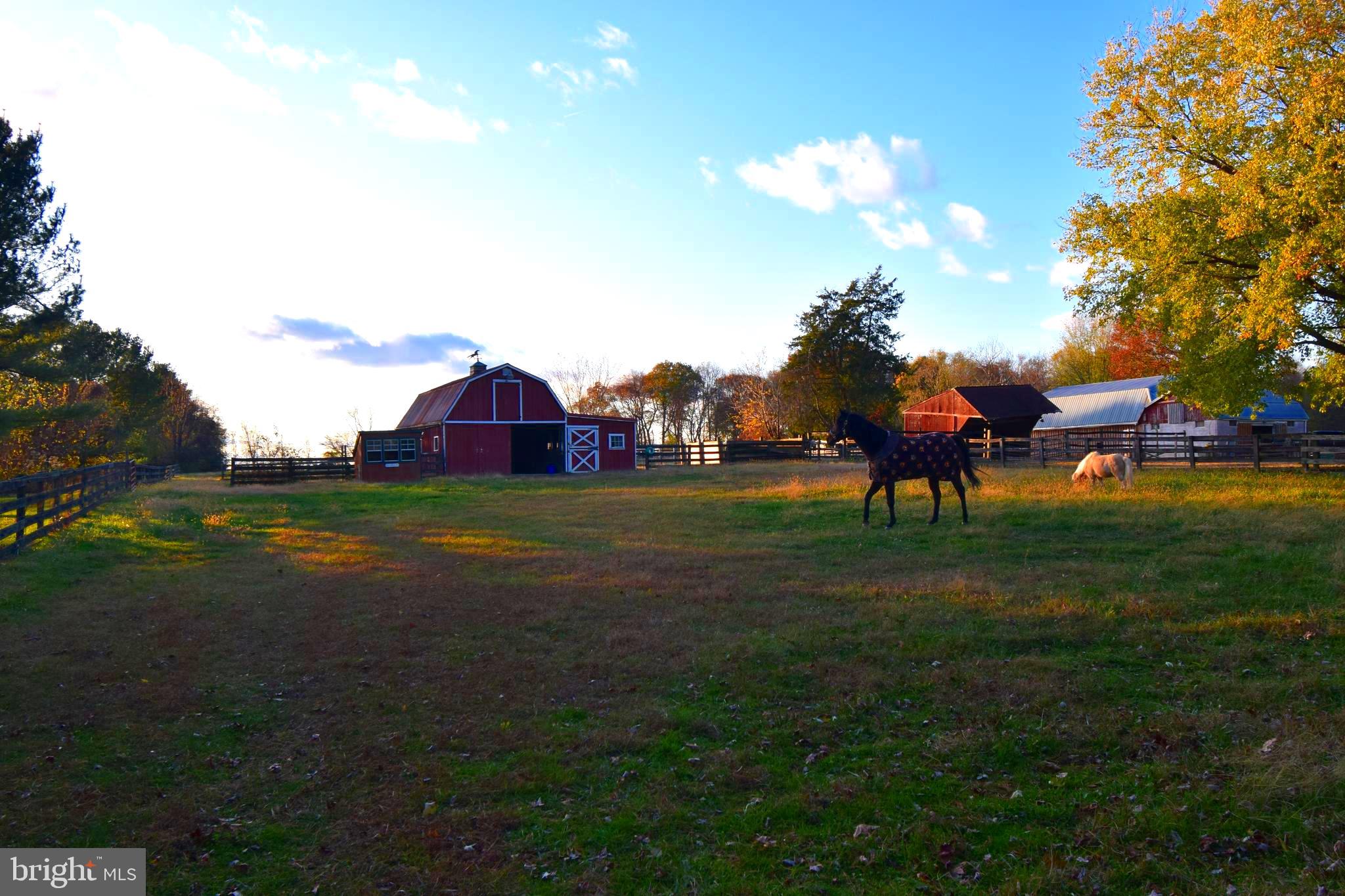 RISING SUN - Residential