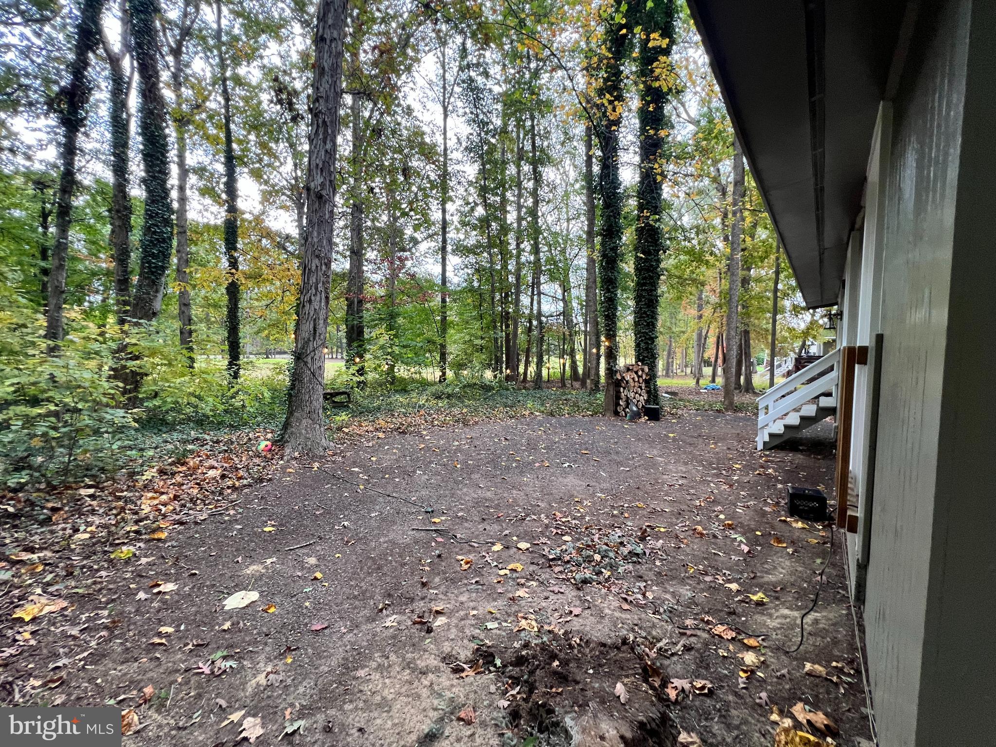 LAKE OF THE WOODS - Residential